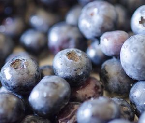 Preview wallpaper blueberries, berries, fruits, drops, macro