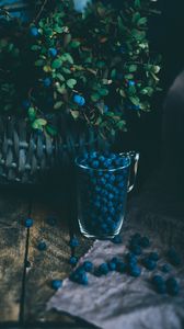 Preview wallpaper blueberries, berries, glass, basket, bush