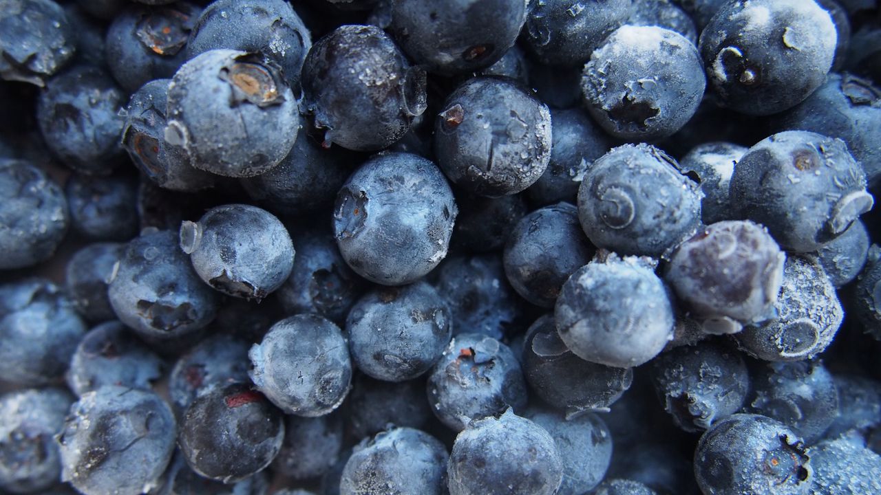 Wallpaper blueberries, berries, harvest, ripe