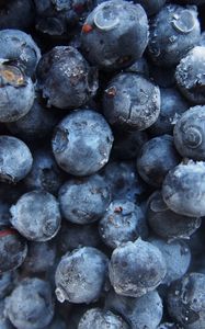 Preview wallpaper blueberries, berries, harvest, ripe