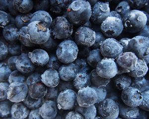 Preview wallpaper blueberries, berries, harvest, ripe