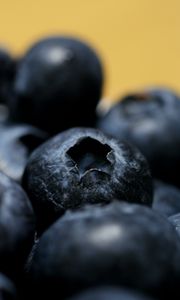 Preview wallpaper blueberries, berries, macro, fresh