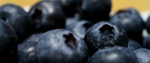 Preview wallpaper blueberries, berries, macro, fresh