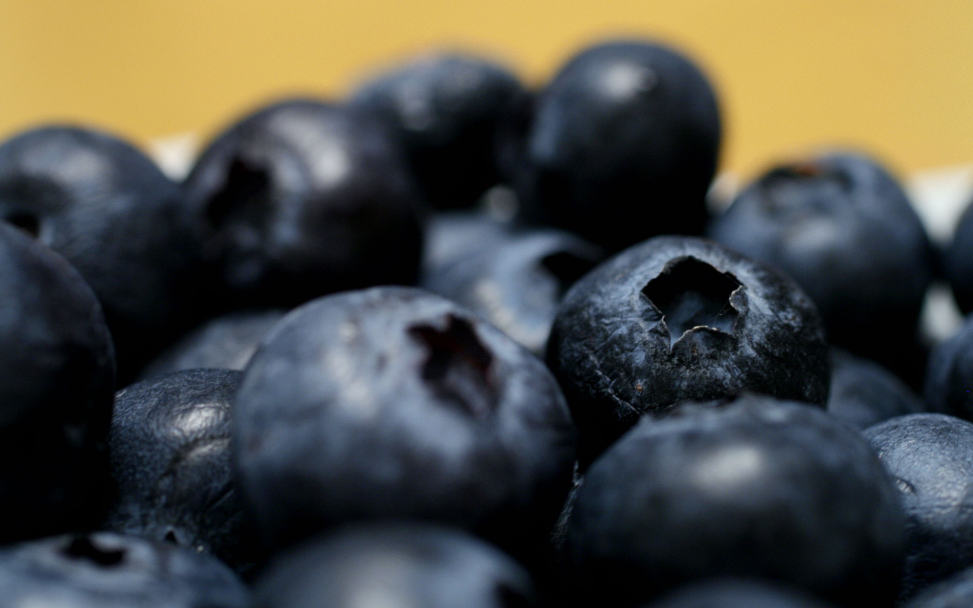 Download wallpaper 3840x2400 blueberries, berries, macro, fresh 4k ...