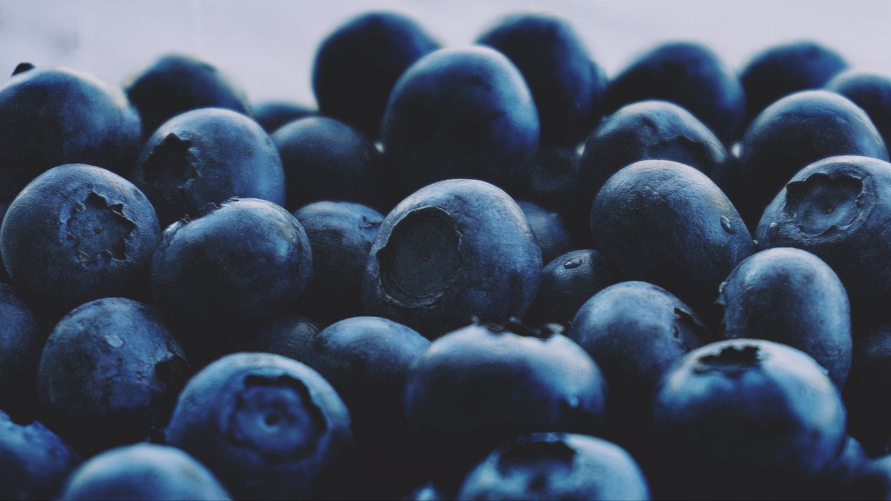 Wallpaper blueberries, berries, macro, fresh, ripe, fruits