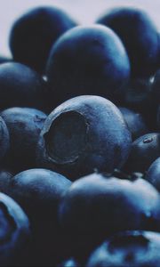 Preview wallpaper blueberries, berries, macro, fresh, ripe, fruits
