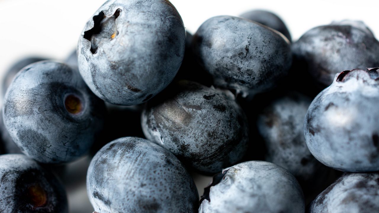 Wallpaper blueberries, berries, macro, blue, background