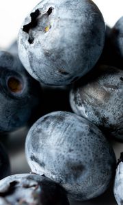 Preview wallpaper blueberries, berries, macro, blue, background