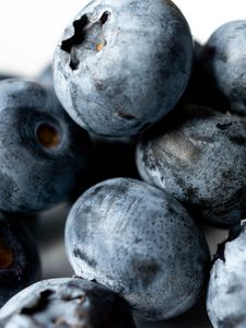 Preview wallpaper blueberries, berries, macro, blue, background
