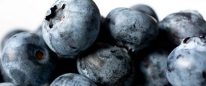 Preview wallpaper blueberries, berries, macro, blue, background