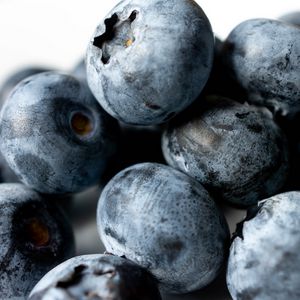 Preview wallpaper blueberries, berries, macro, blue, background