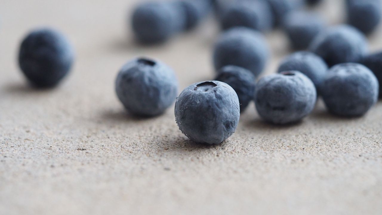 Wallpaper blueberries, berries, macro, harvest