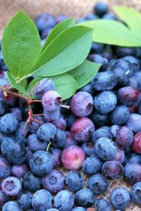 Preview wallpaper blueberries, berries, many, ripe
