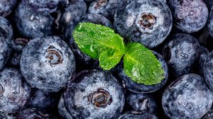 Preview wallpaper blueberries, berries, mint, wet, macro