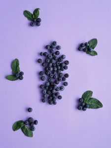 Preview wallpaper blueberries, berries, mint, leaves