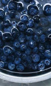 Preview wallpaper blueberries, berries, plate, water