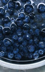 Preview wallpaper blueberries, berries, plate, water