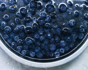 Preview wallpaper blueberries, berries, plate, water