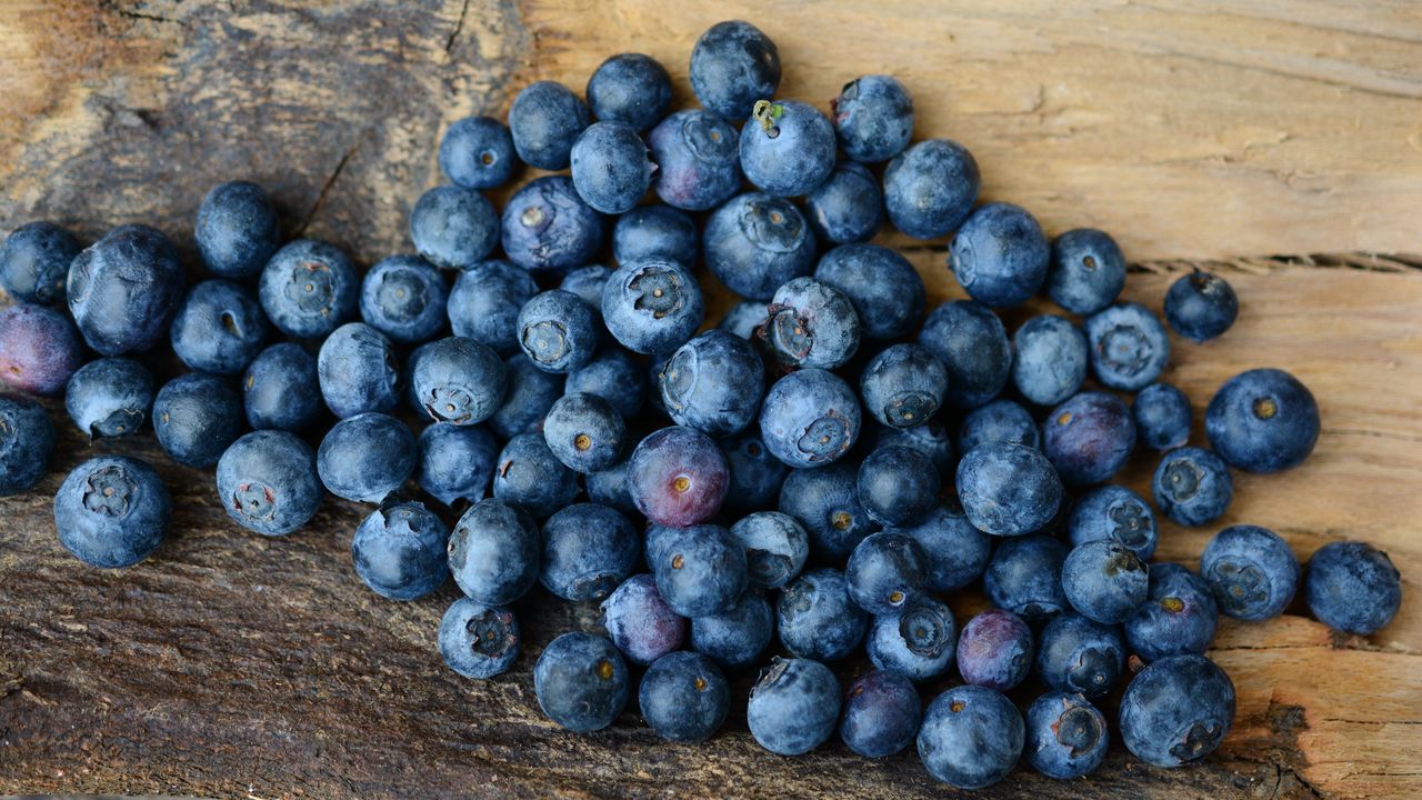 Wallpaper blueberries, berries, ripe