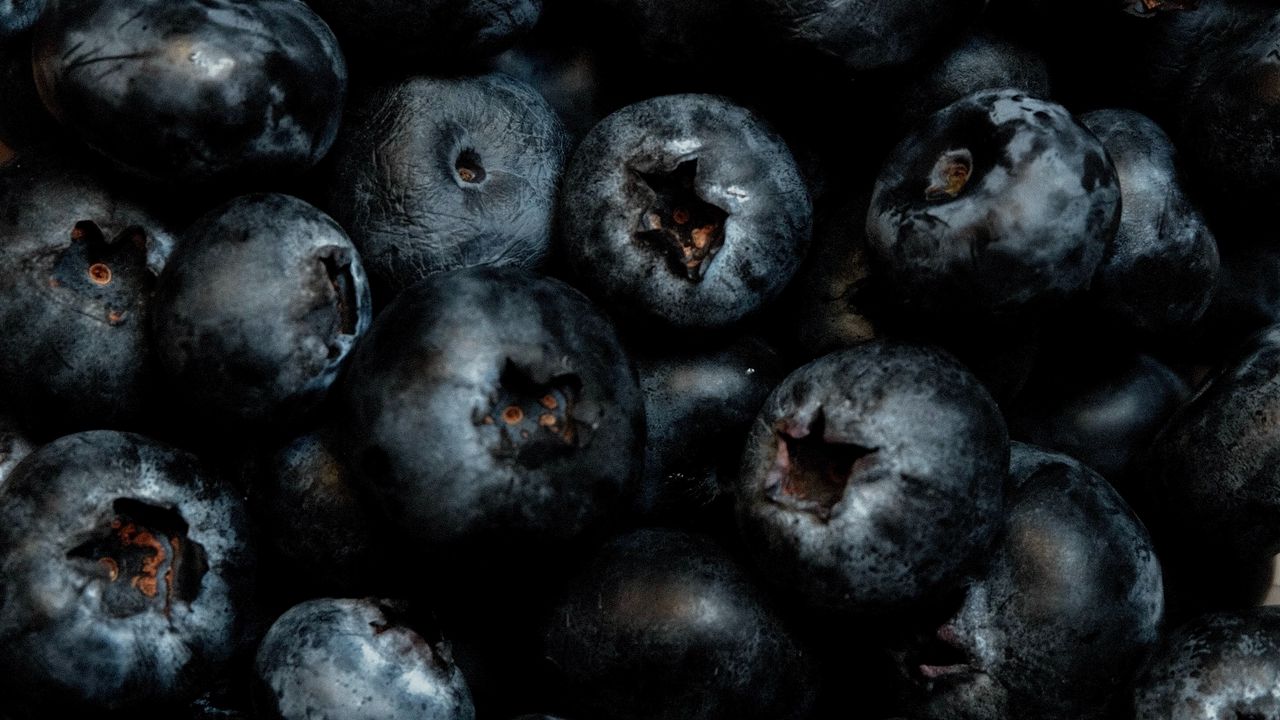 Wallpaper blueberries, berries, ripe, fresh