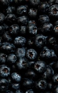 Preview wallpaper blueberries, berries, ripe, fresh