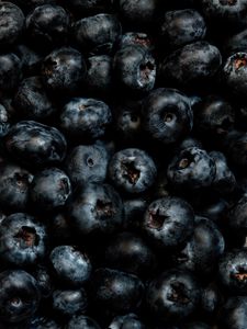 Preview wallpaper blueberries, berries, ripe, fresh