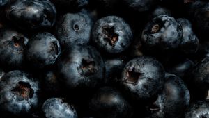 Preview wallpaper blueberries, berries, ripe, fresh