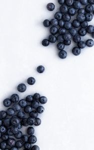 Preview wallpaper blueberries, berries, wet, ripe