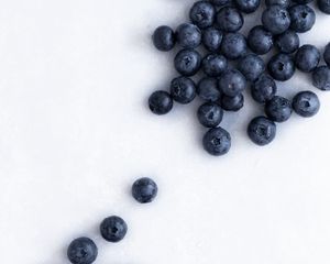 Preview wallpaper blueberries, berries, wet, ripe