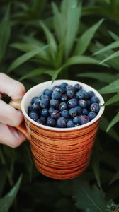 Preview wallpaper blueberries, berry, cup, hand
