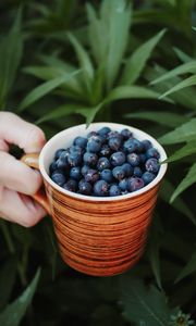 Preview wallpaper blueberries, berry, cup, hand