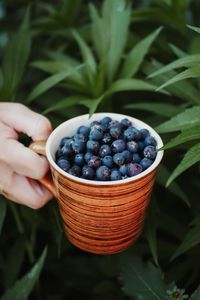 Preview wallpaper blueberries, berry, cup, hand