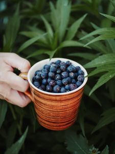 Preview wallpaper blueberries, berry, cup, hand