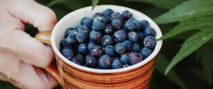 Preview wallpaper blueberries, berry, cup, hand