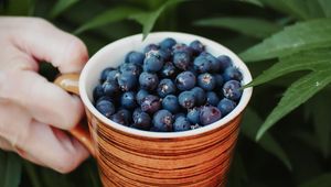 Preview wallpaper blueberries, berry, cup, hand