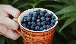 Preview wallpaper blueberries, berry, cup, hand