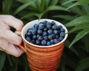 Preview wallpaper blueberries, berry, cup, hand
