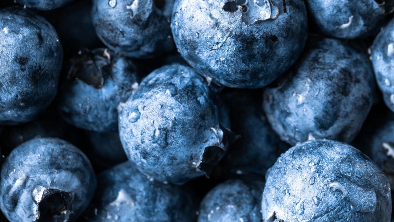 Wallpaper blueberries, berry, fruit, macro hd, picture, image