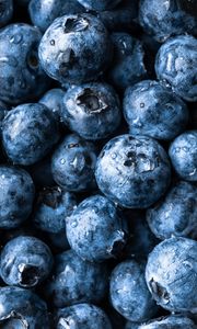 Preview wallpaper blueberries, berry, fruit, macro