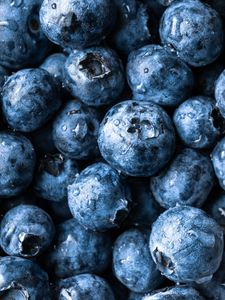 Preview wallpaper blueberries, berry, fruit, macro