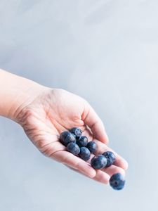 Preview wallpaper blueberries, berry, hand