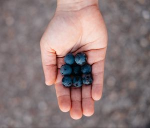 Preview wallpaper blueberries, berry, palm