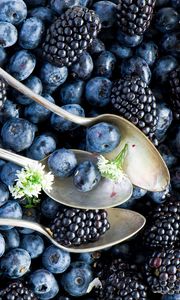 Preview wallpaper blueberries, blackberries, spoon, berries
