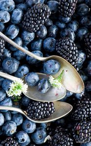 Preview wallpaper blueberries, blackberries, spoon, berries