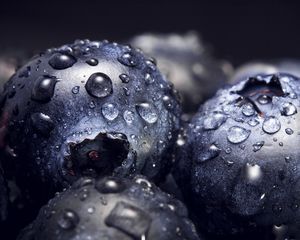 Preview wallpaper blueberries, drops, close-up