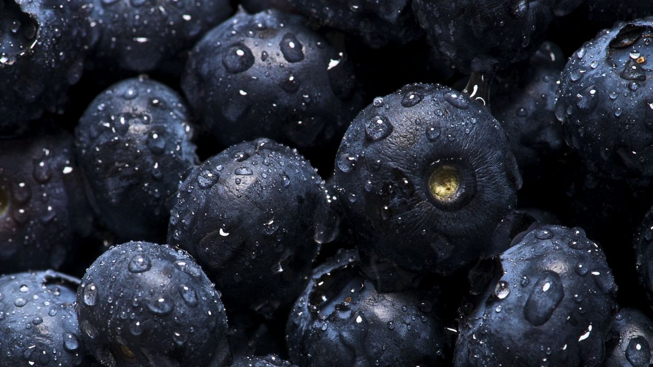 Wallpaper blueberries, drops, water, berries, macro