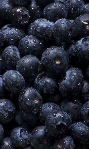 Preview wallpaper blueberries, drops, water, berries, macro