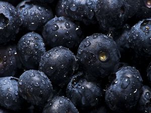Preview wallpaper blueberries, drops, water, berries, macro