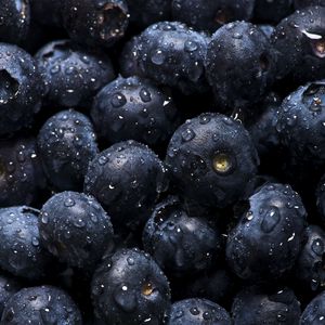 Preview wallpaper blueberries, drops, water, berries, macro