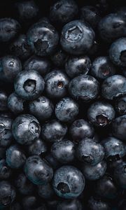 Preview wallpaper blueberries, fruit, berry, macro